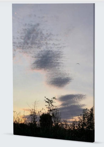 Sunset in Vancouver. Decorate your walls, or make it a Christmas present. Smaller formats are available upon request. 